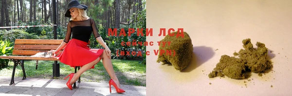 прущий лед Богданович