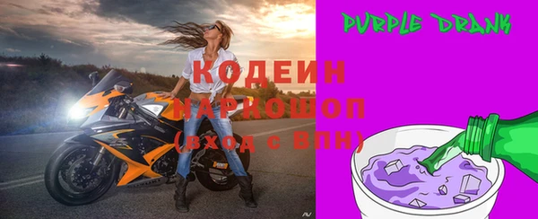 прущий лед Богданович