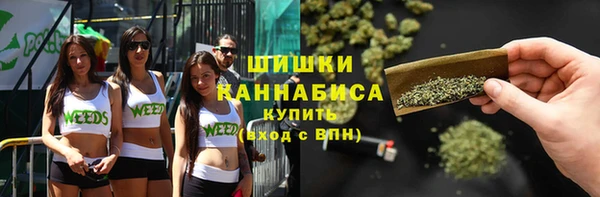 крисы Богородск