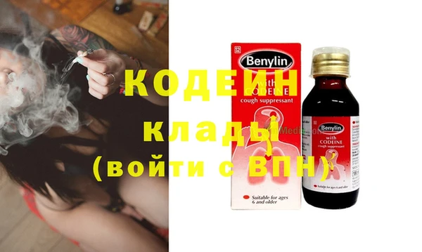 прущий лед Богданович