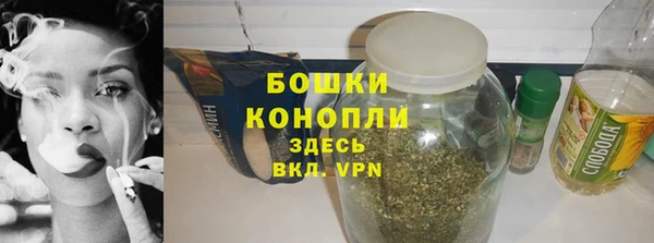прущий лед Богданович