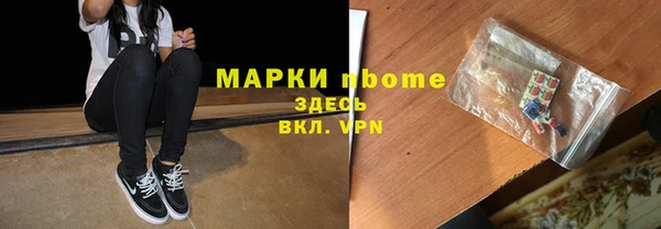 молекула духа Богородицк