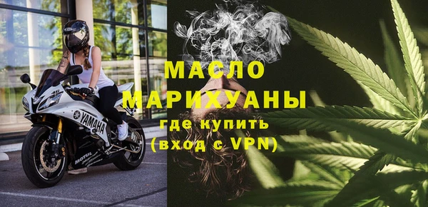 молекула духа Богородицк