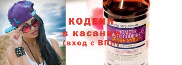 молекула духа Богородицк