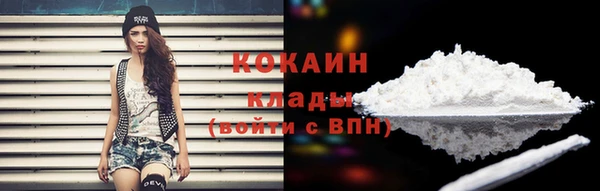 крисы Богородск
