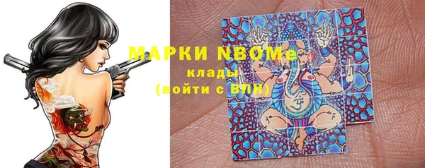 молекула духа Богородицк