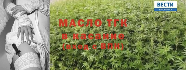 молекула духа Богородицк