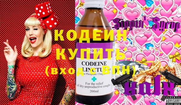 молекула духа Богородицк