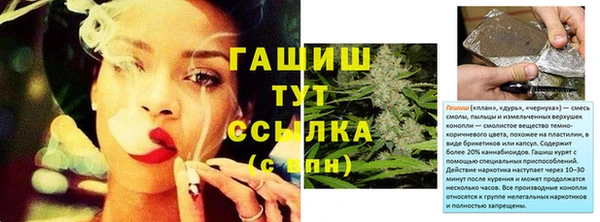 молекула духа Богородицк