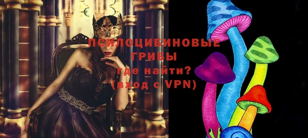 прущий лед Богданович