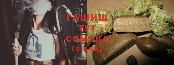 молекула духа Богородицк